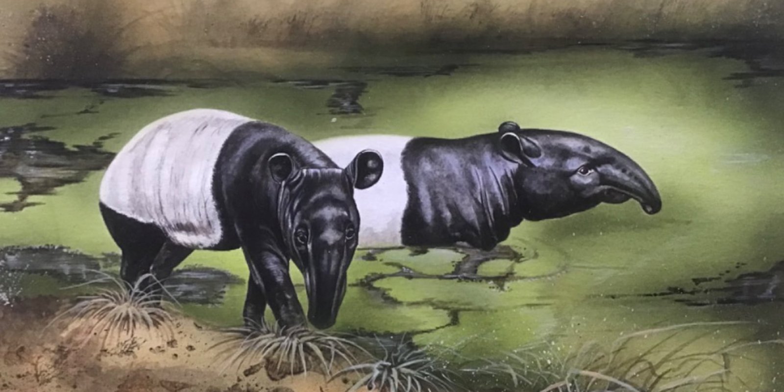 Vernisáž: ZOO na papíře