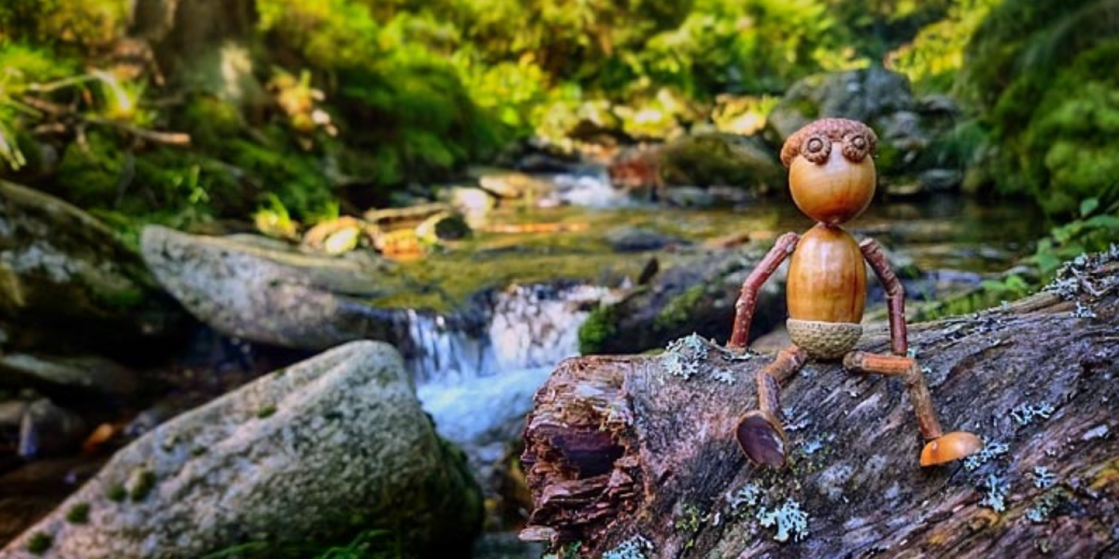 Kniháčkovo počteníčko: S Dubánky za lesním dobrodružstvím