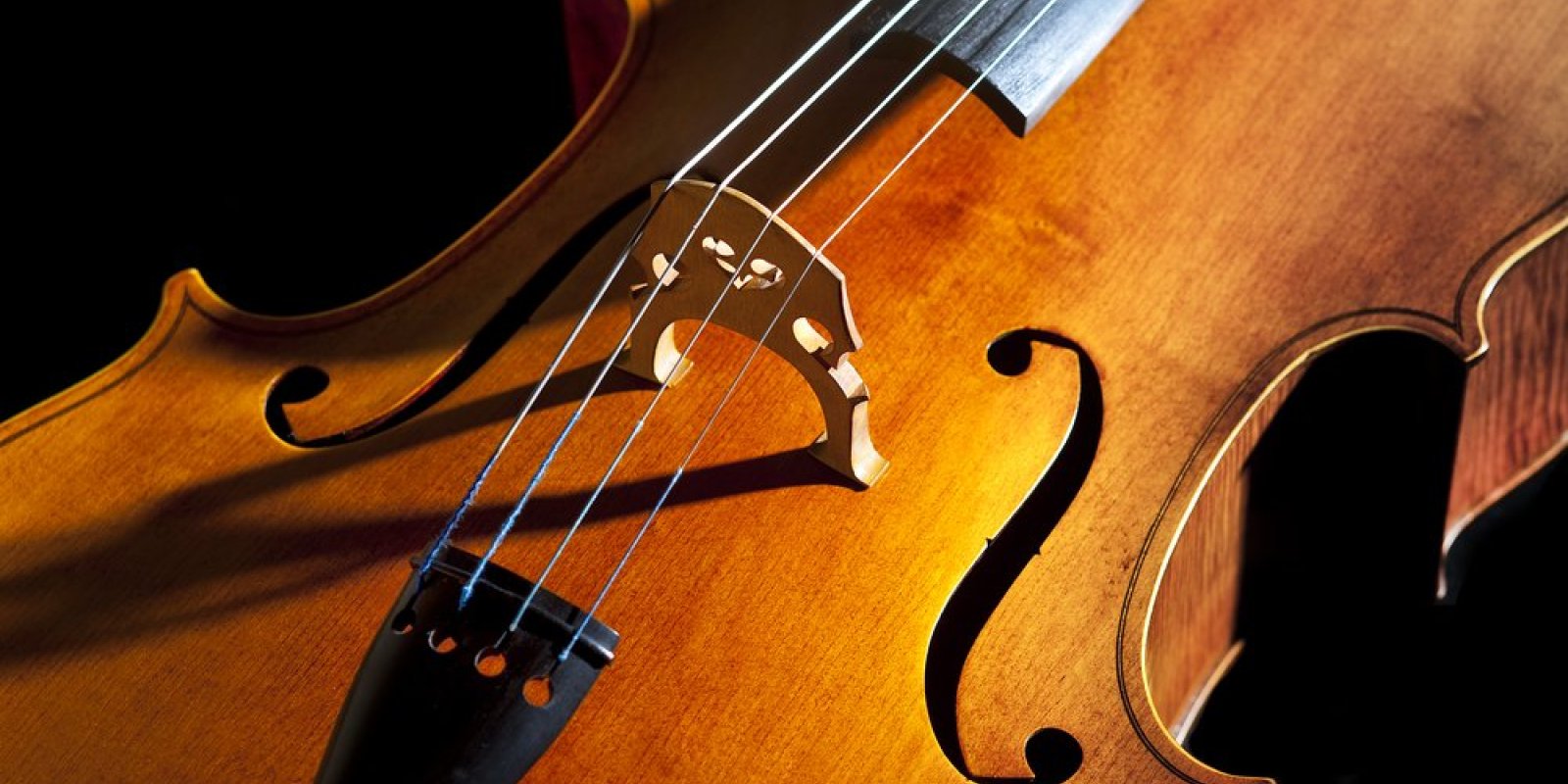 Cello night 