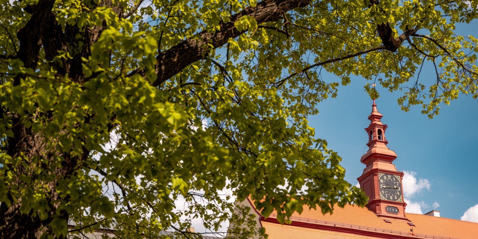 Komentovaná prohlídka jihlavské radnice a barokních krovů