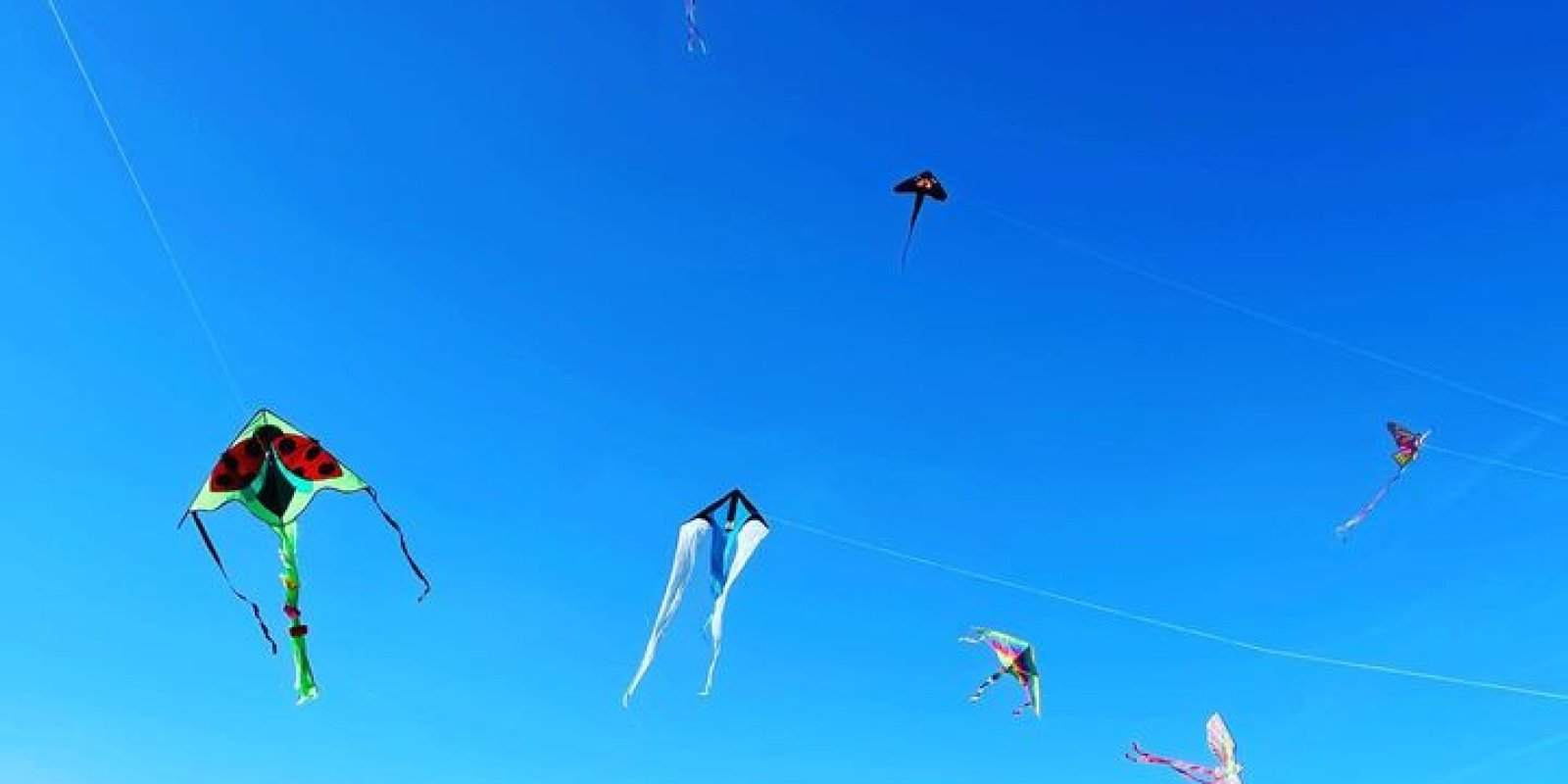 DRAKIÁDA Hitrádia Vysočina 2023