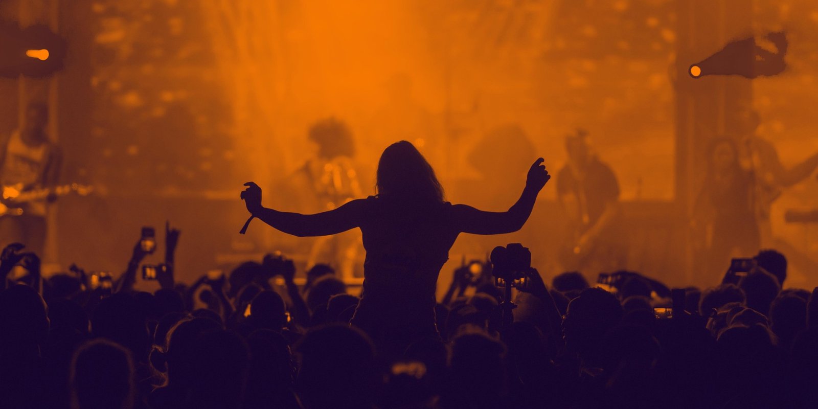 Festival hlasy světa
