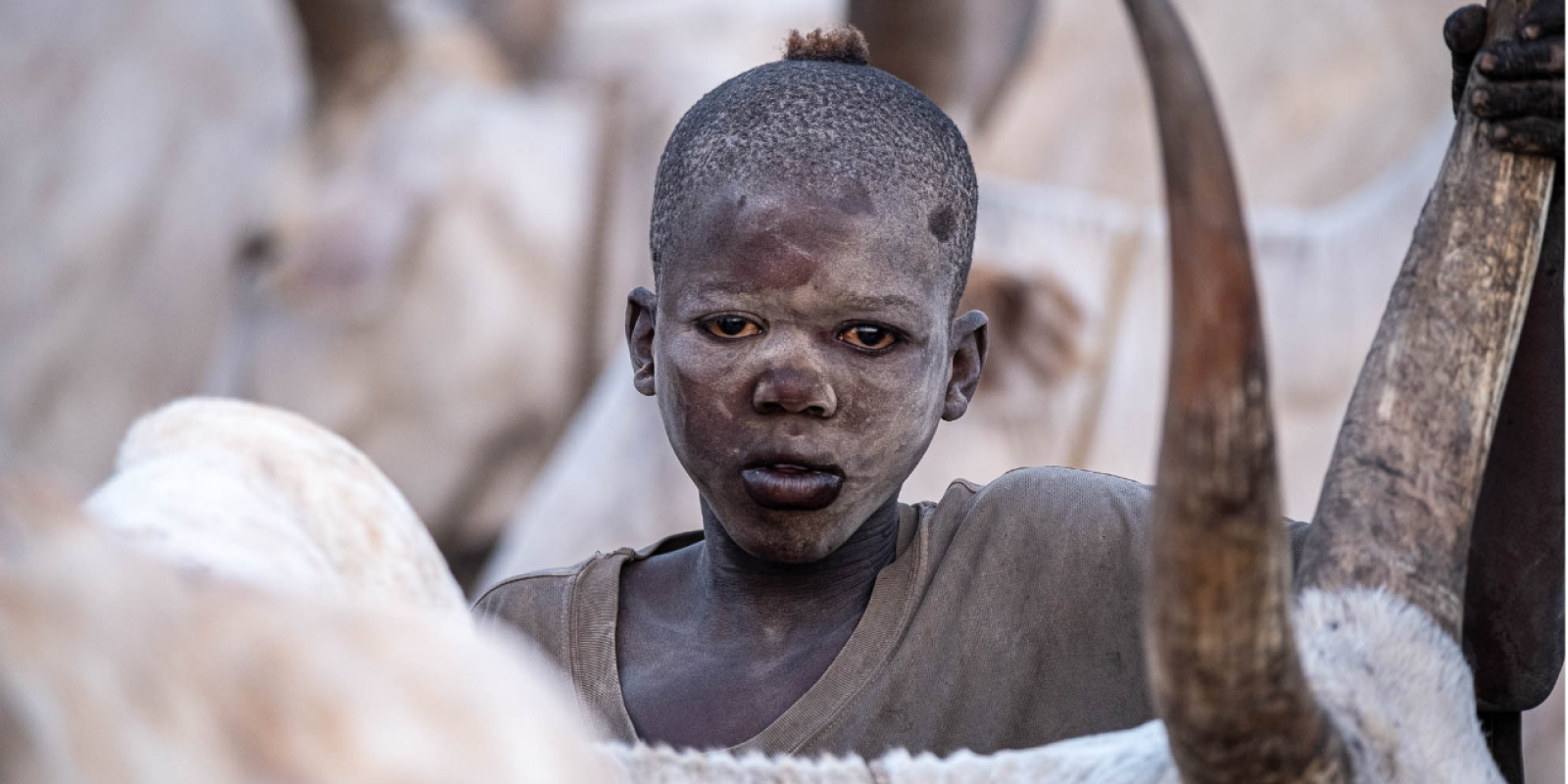 Jižní Sudán, Džibutsko, Somaliland a Etiopie