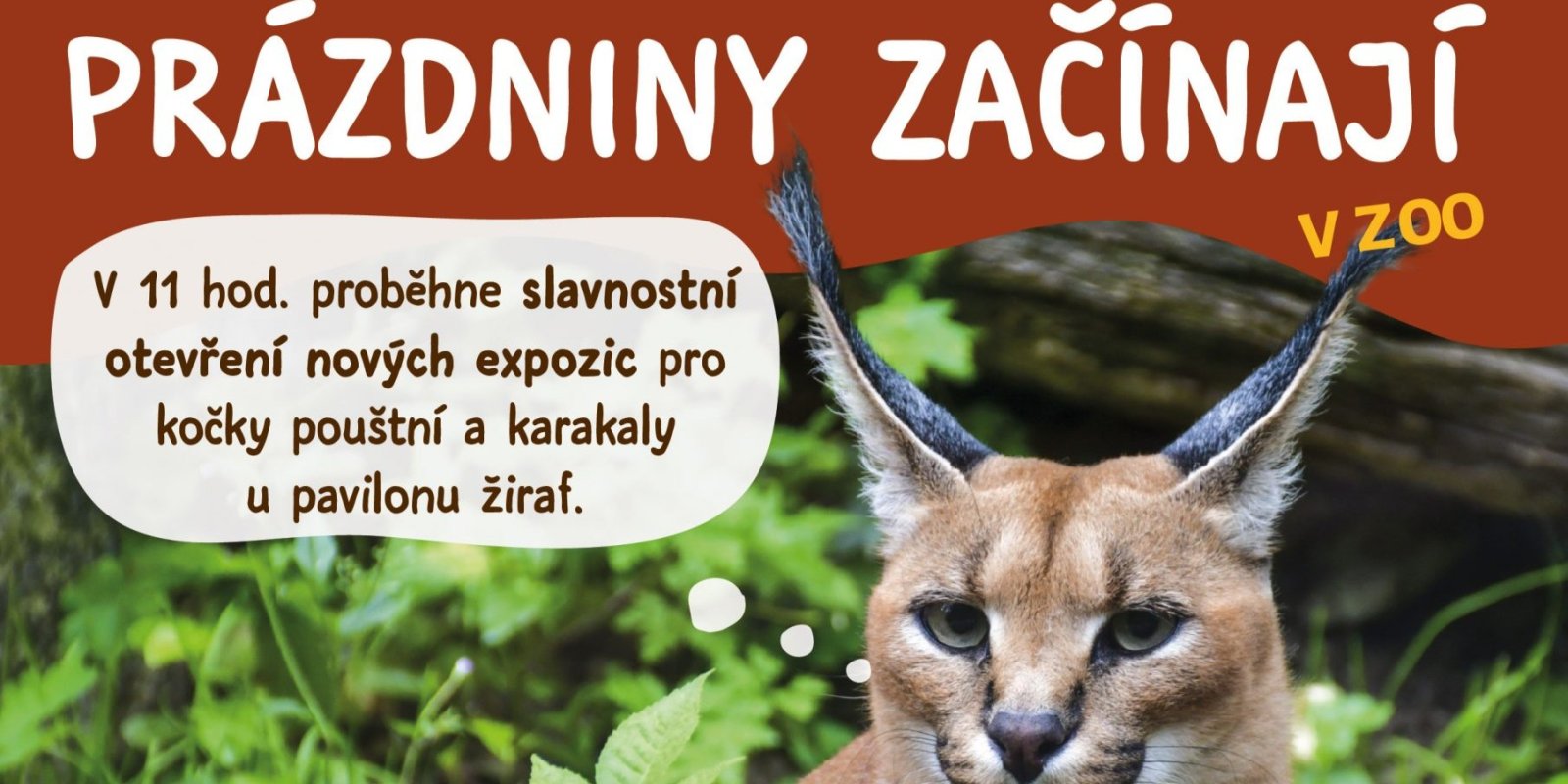 Prázdniny začínají v zoo