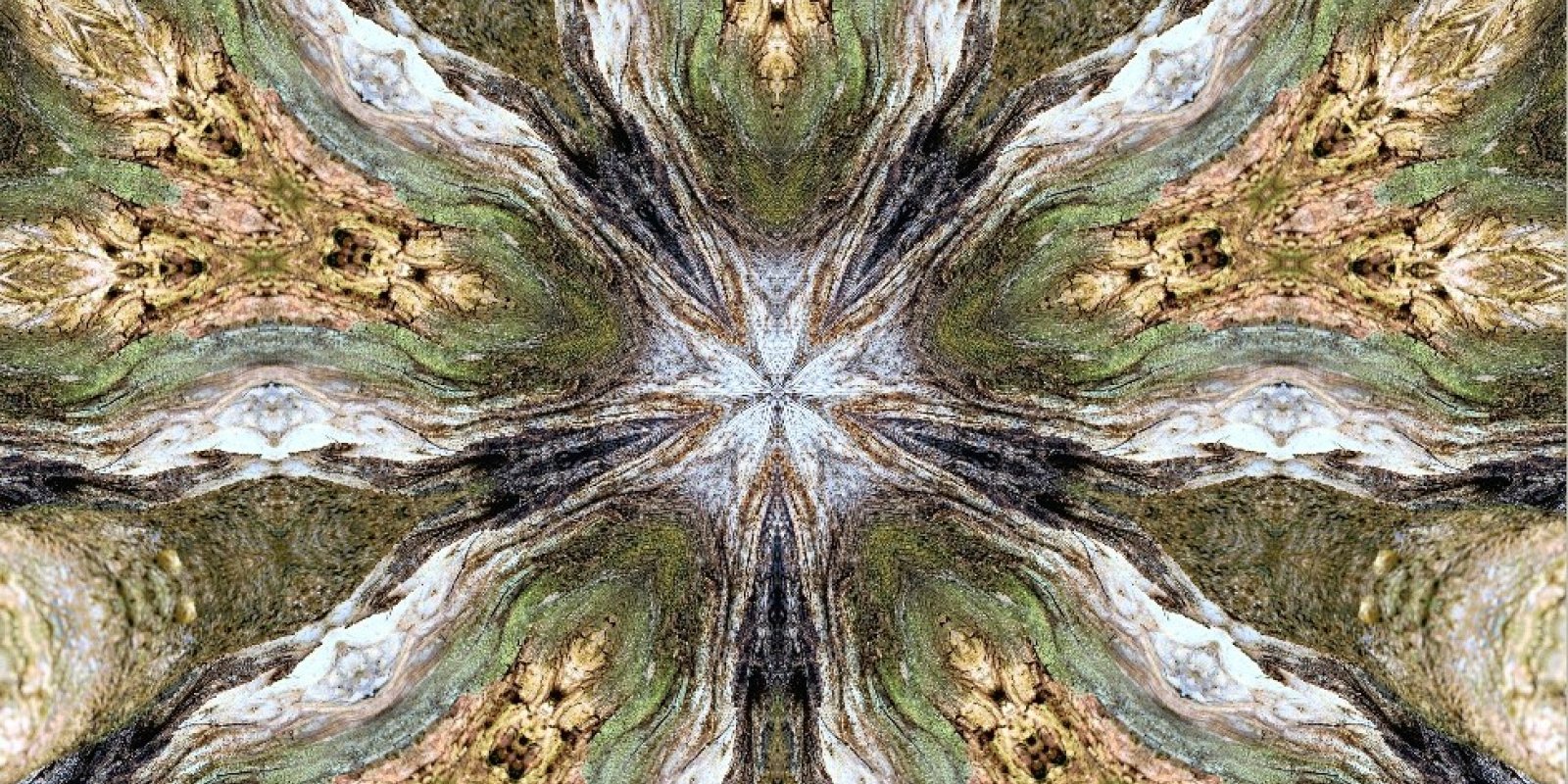 Mandaly s duší přírody 