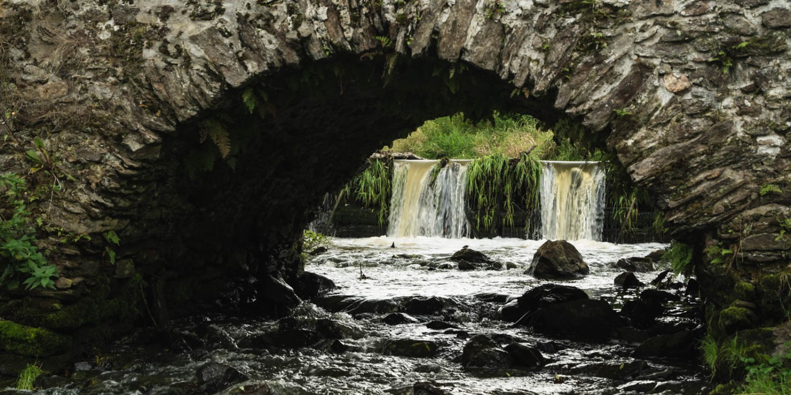 Vycházka ke kamennému mostu U Lutriána