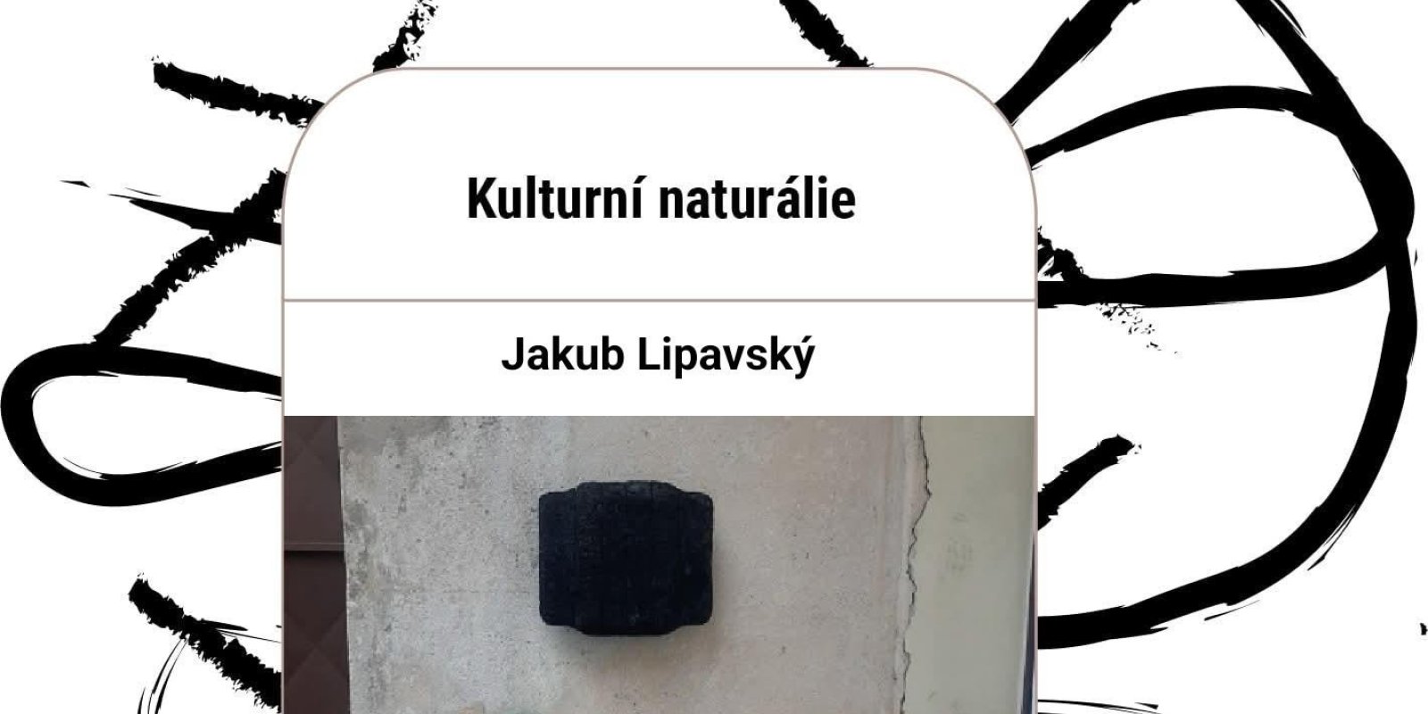 Jakub Lipavský - Kulturní naturálie 