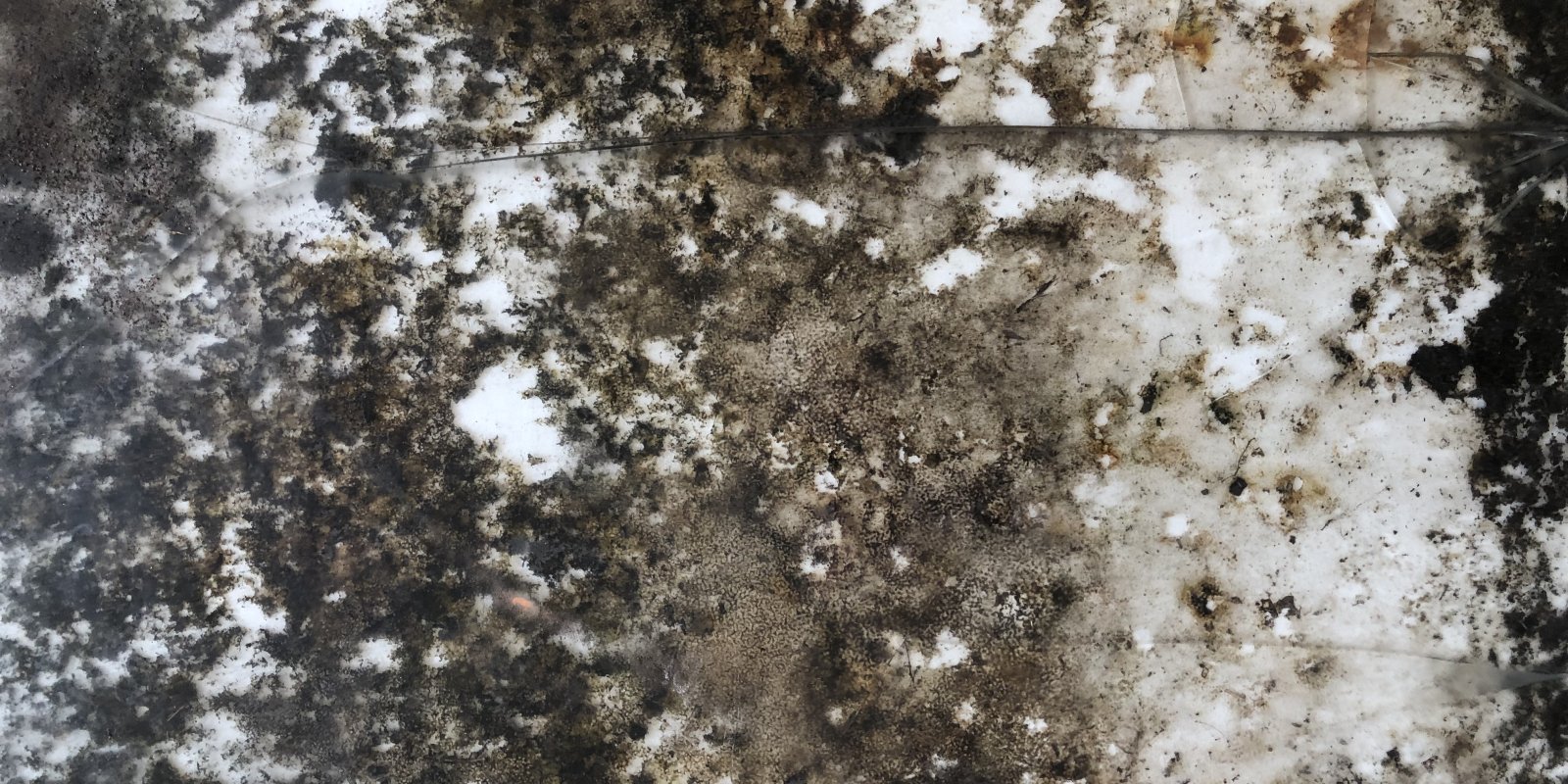 Alessandra Svatek - Nové chyby 