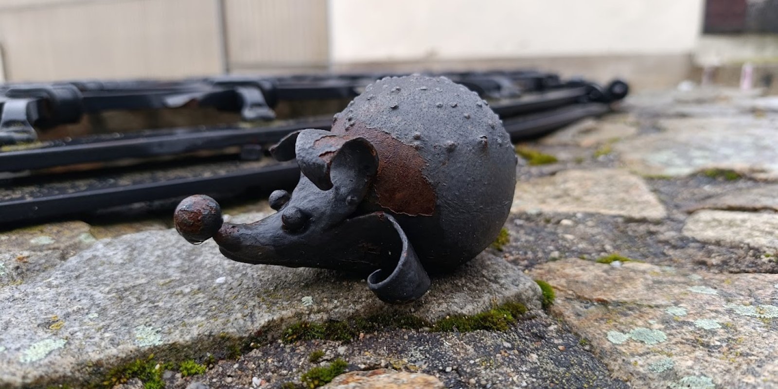 Komentovaná procházka - Stopou ježčí, za znaky míst a domů městských 