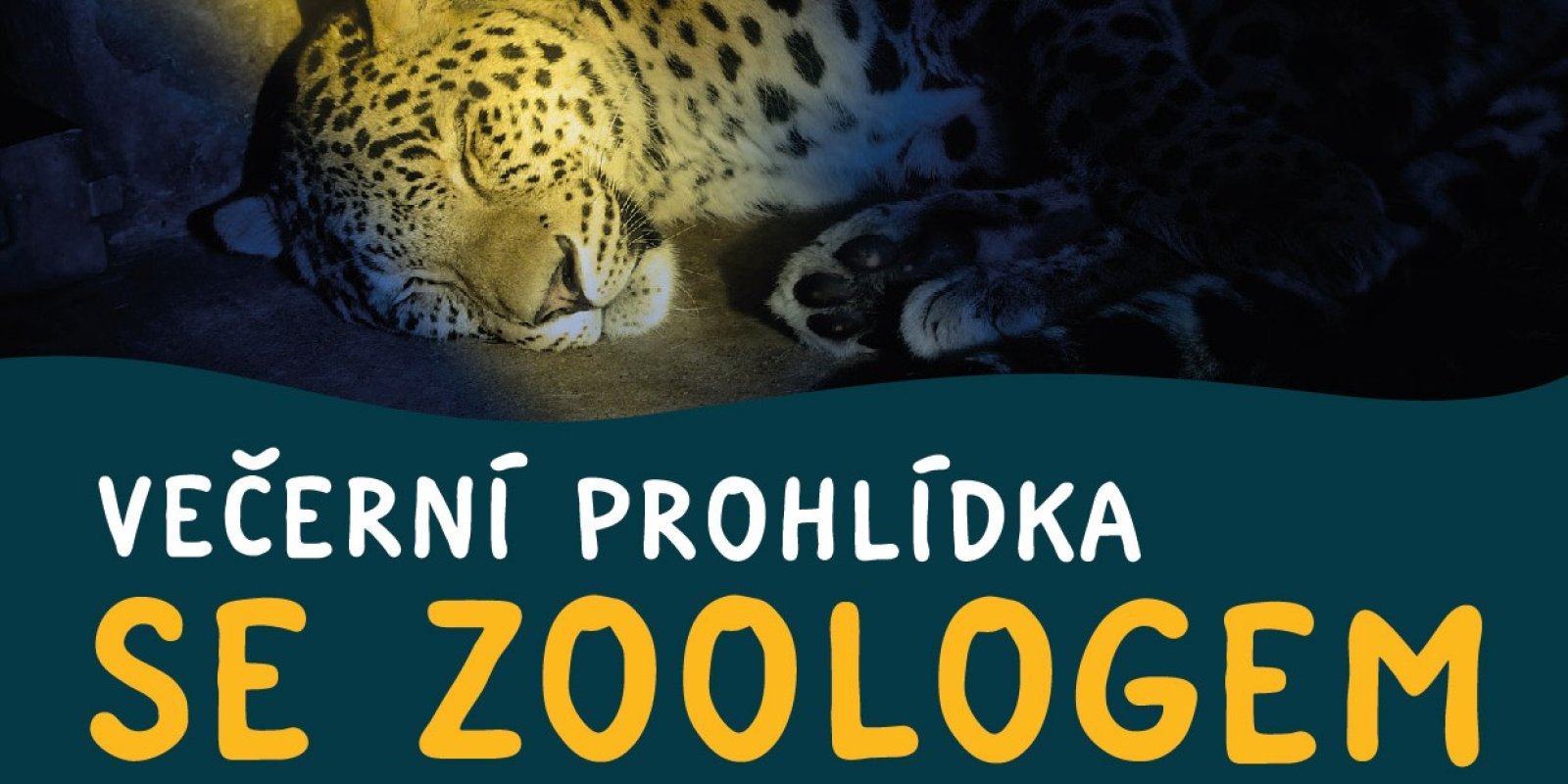 Večerní prohlídka se zoologem