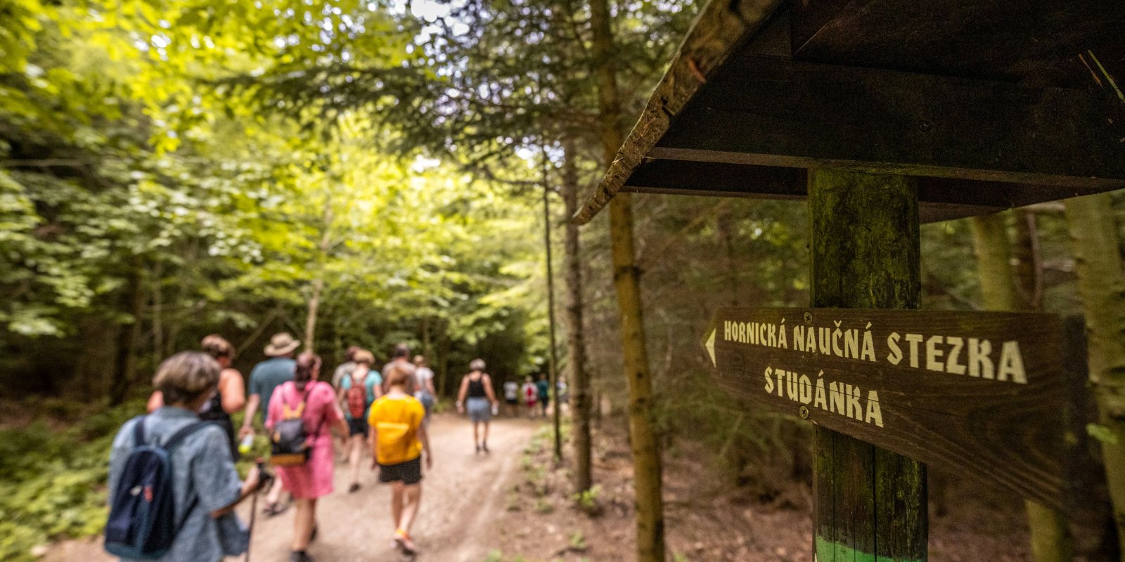 Komentovaná procházka - Hornickou naučnou stezkou a "horou pokladů" po stopách dolování stříbra 