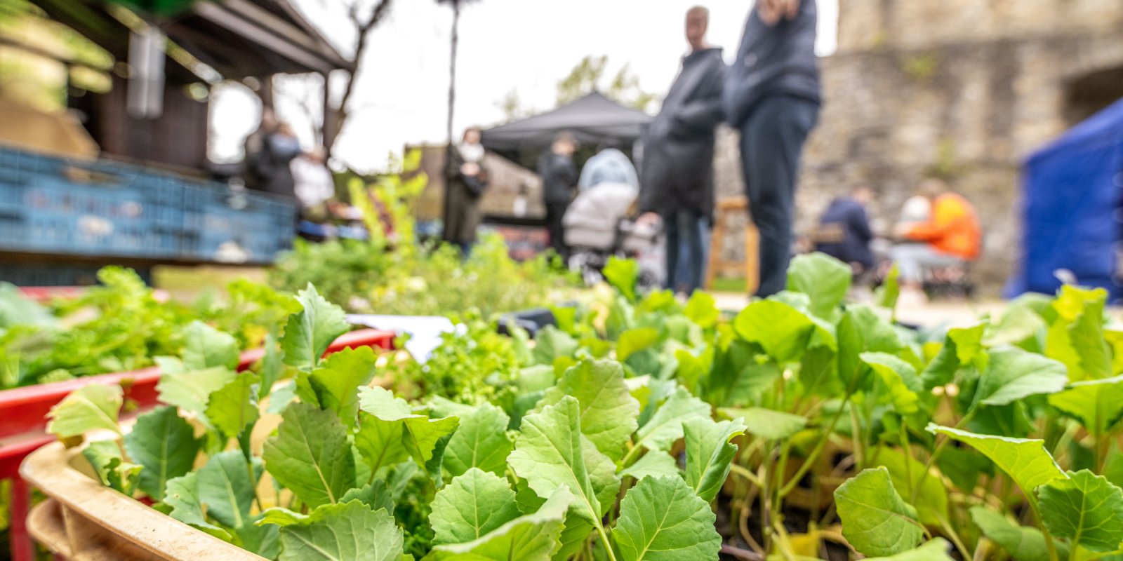 Farmářský trh na Parkánu