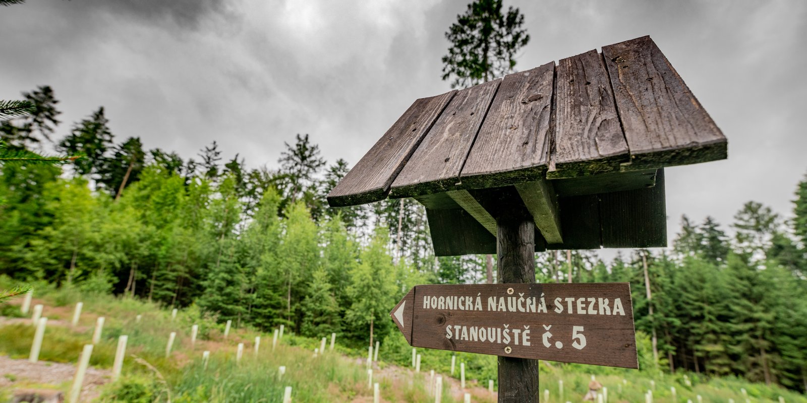 Hornickou naučnou stezkou a "horou pokladů" po stopách dolování stříbra