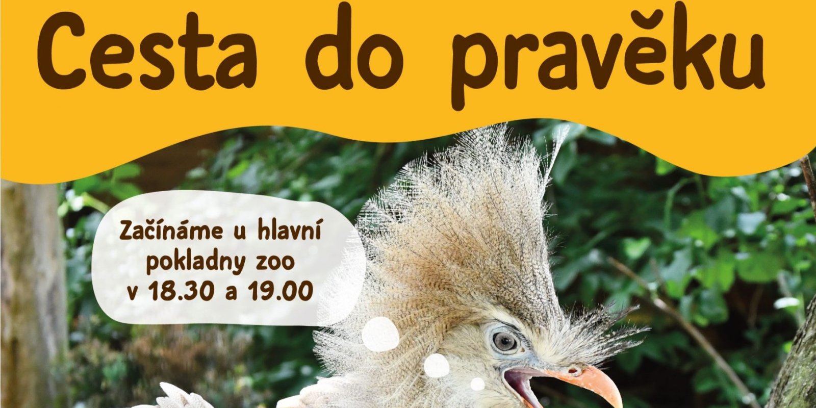 Letní večerní prohlídky pro rodiny s dětmi