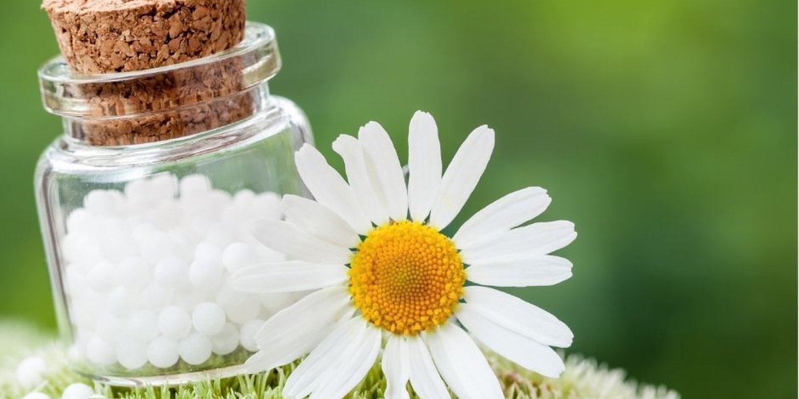 Homeopatická podpora při léčbě onkologických onemocnění