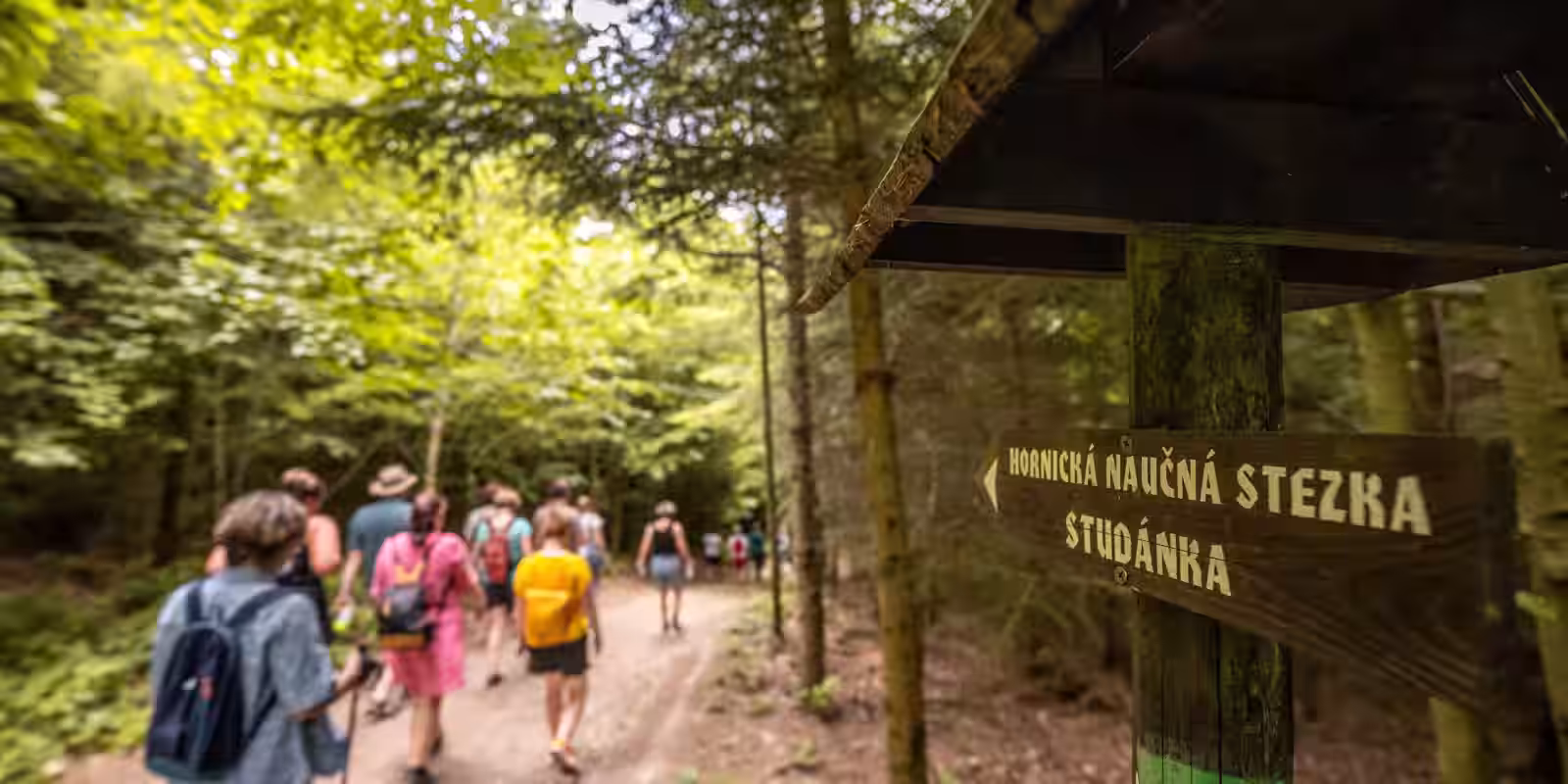 Komentovaná procházka - Hornickou naučnou stezkou a "horou pokladů" po stopách dolování stříbra