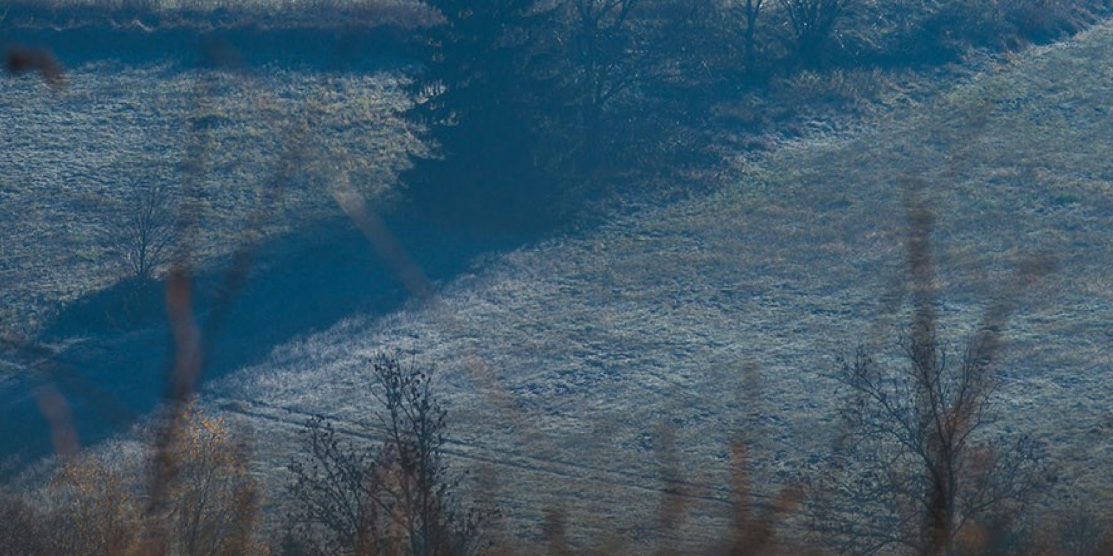Vycházka v okolí Jihlavy