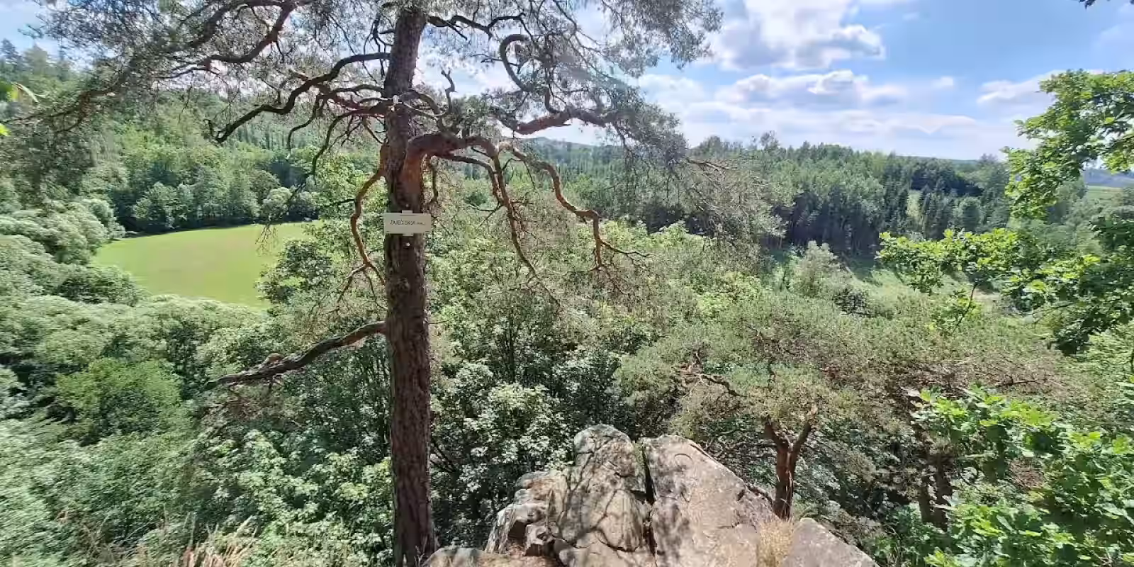 Večerní komentovaná procházka - Přes Staré Hory krokem za Zaječím skokem - kapacita naplněna