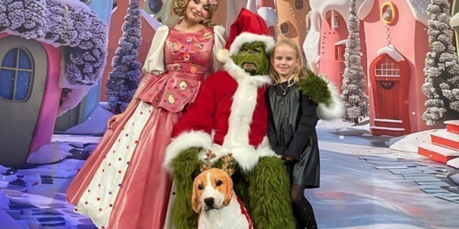 GRINCH - Vánoční loupež