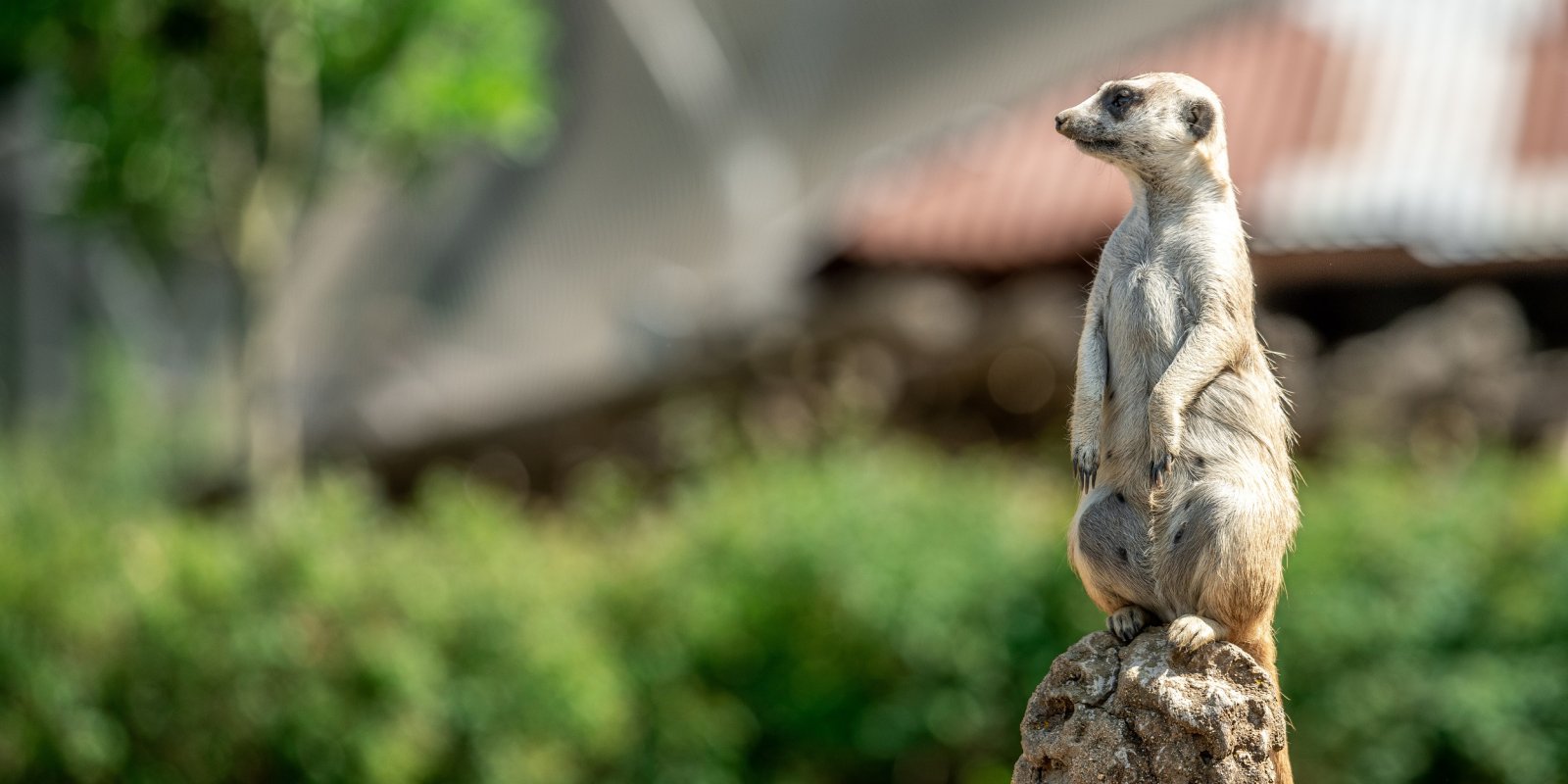 Večerní prohlídky jihlavskou zoo: Letní sportovní hry       