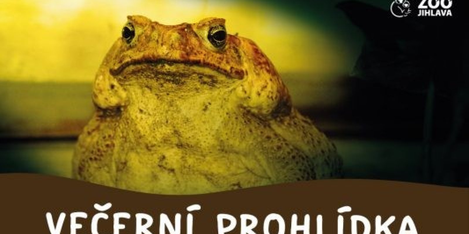 Večerní prohlídka se zoologem