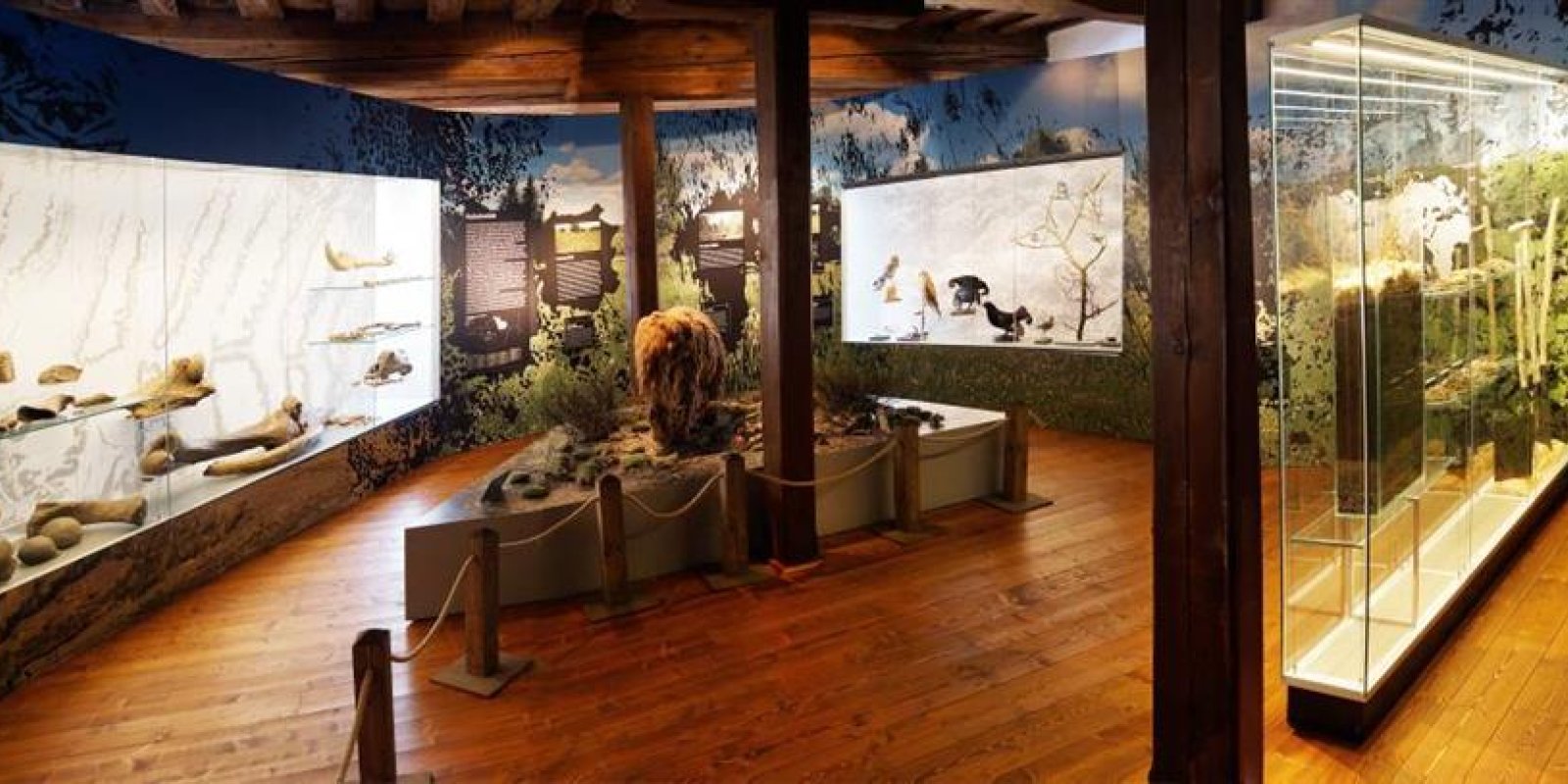 Jarní prázdniny v muzeu: Doba ledová