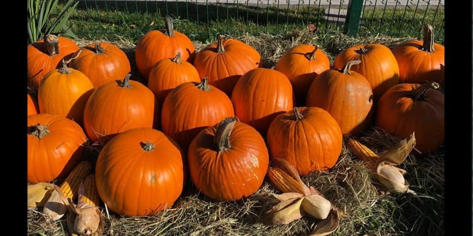 Halloweenský víkend a lampionový průvod