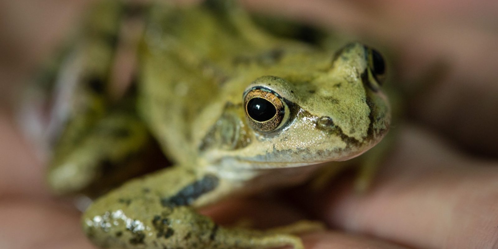 Den Země v knihovně