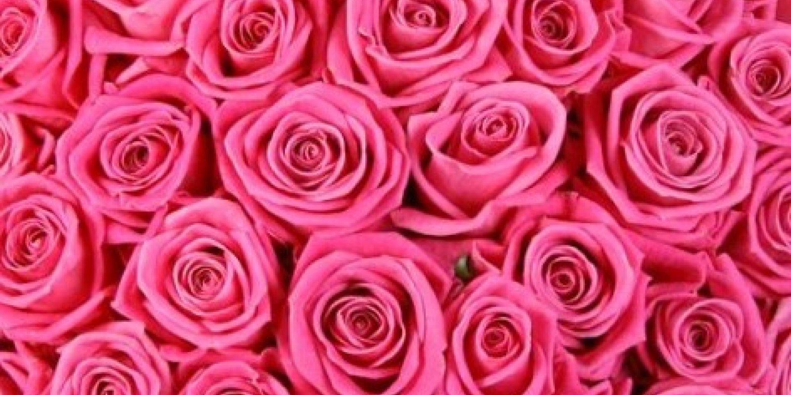 Romantický koncert ke Dni matek