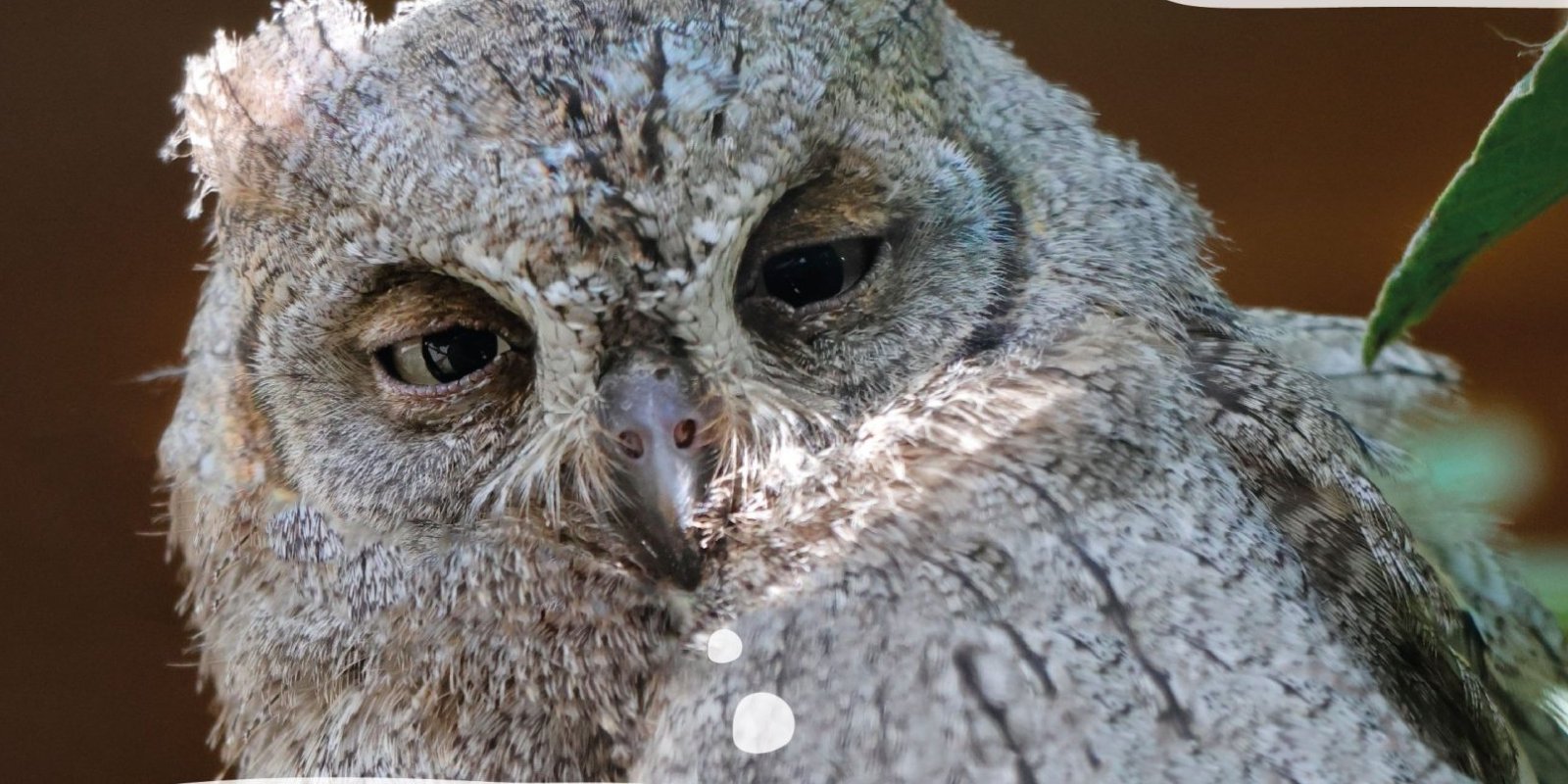 Podzimní prázdniny PodpoVRCHem: 🧙‍♂️„Škola kouzel“✨