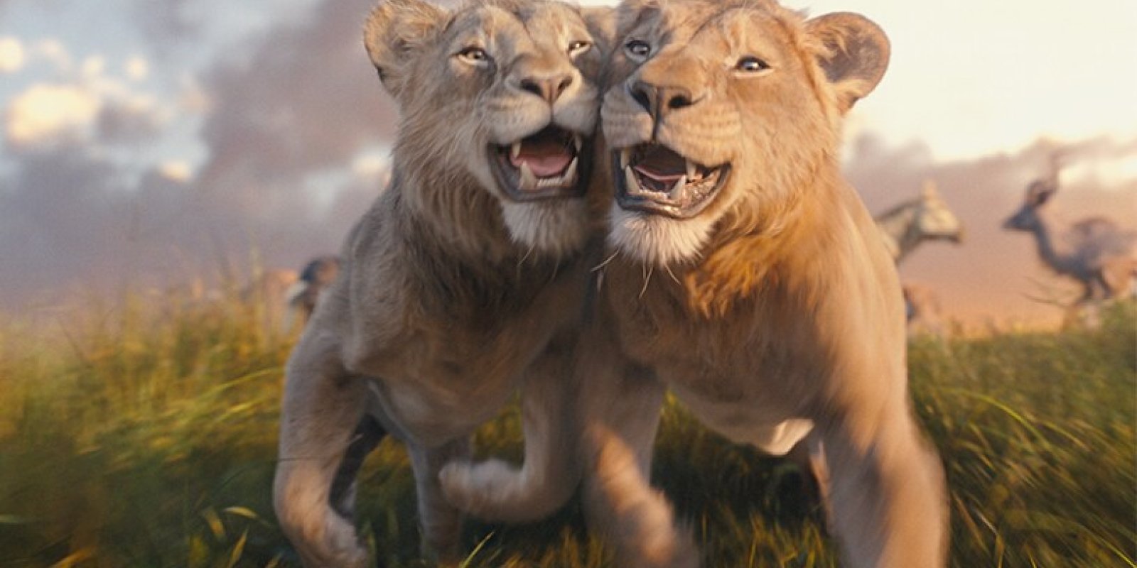 Projekce pro školy: leden 2025