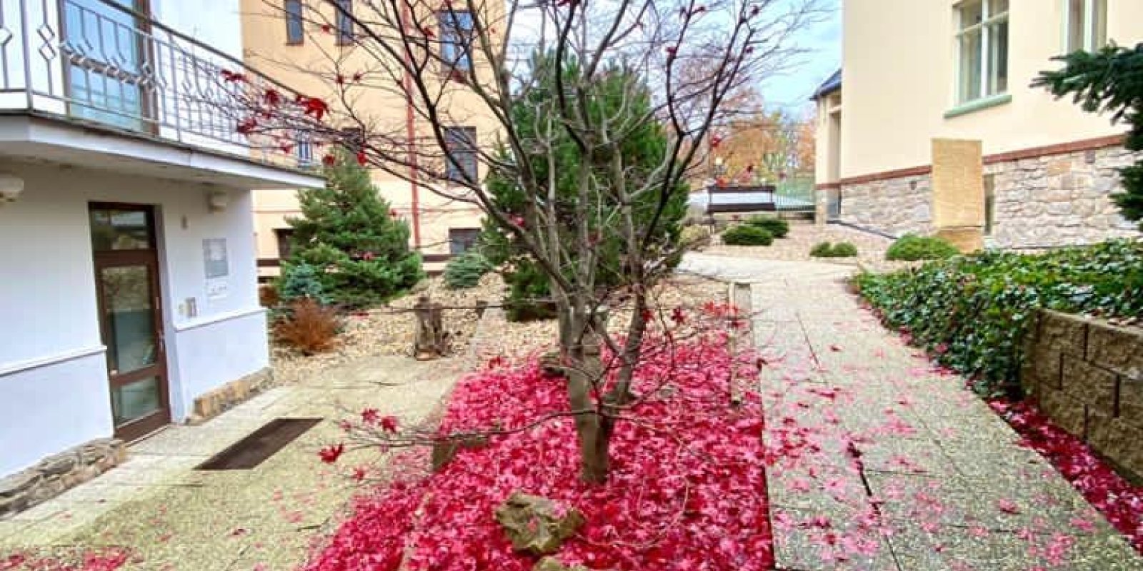 Galerie Jána Šmoka