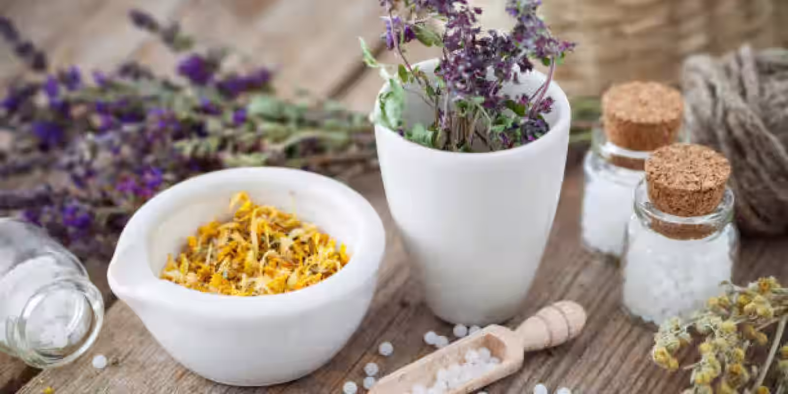 Homeopatie na léto 