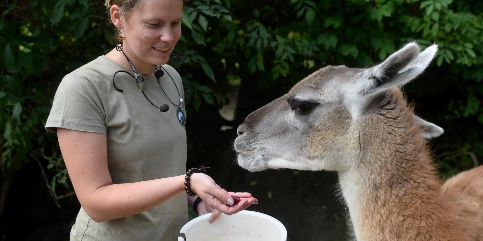 Jdeme do ZOO na komentovanou prohlídku