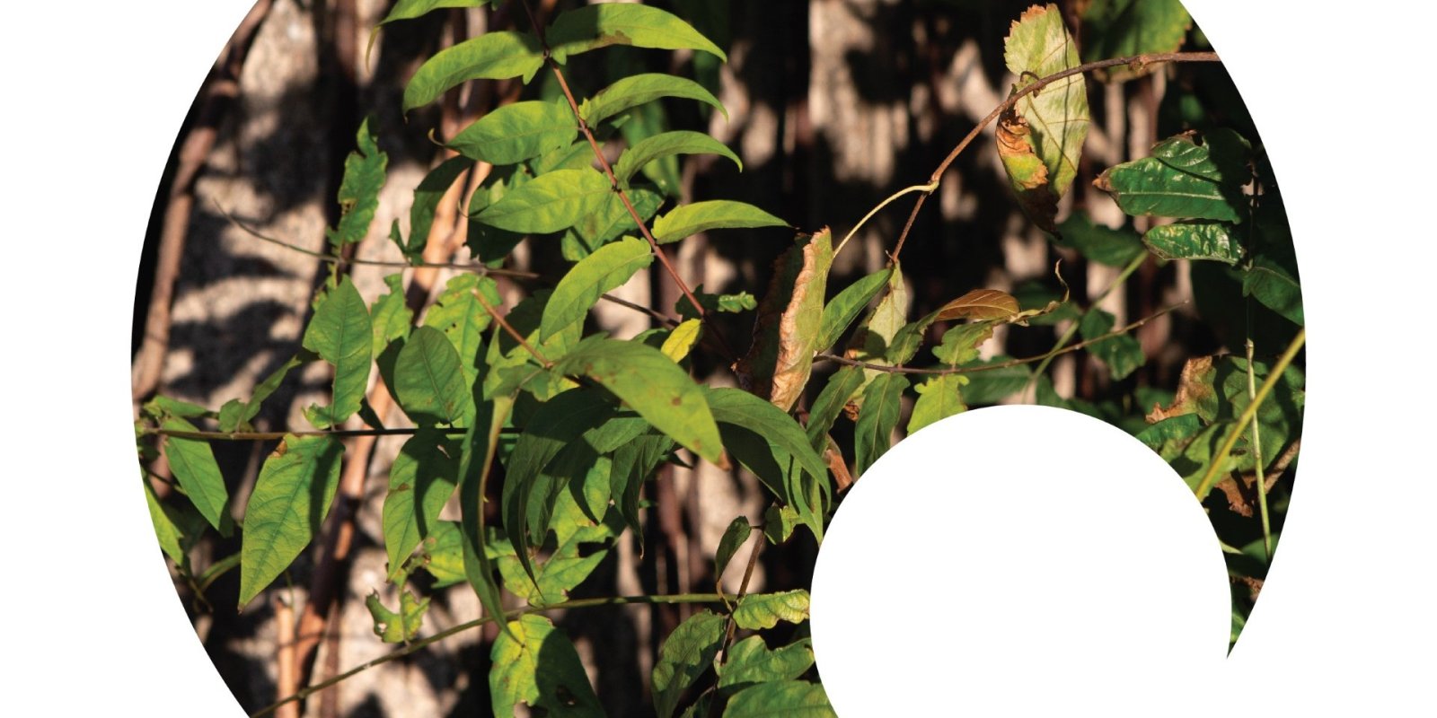 Vernisáž: Klára Kusá - Kto sa nehýbe, necíti okovy