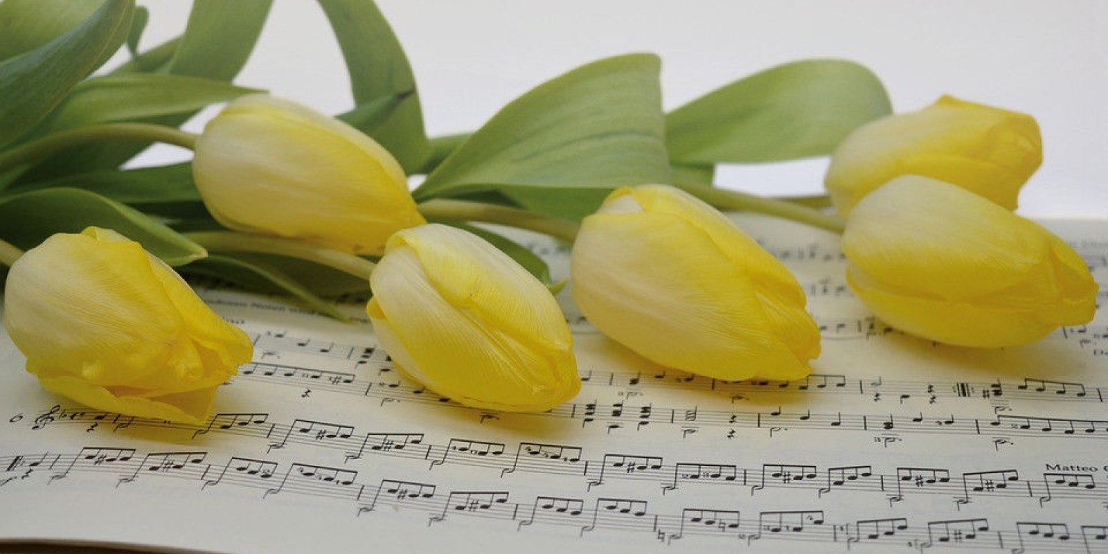 Jarní koncert „Jaro - mládí - krása“