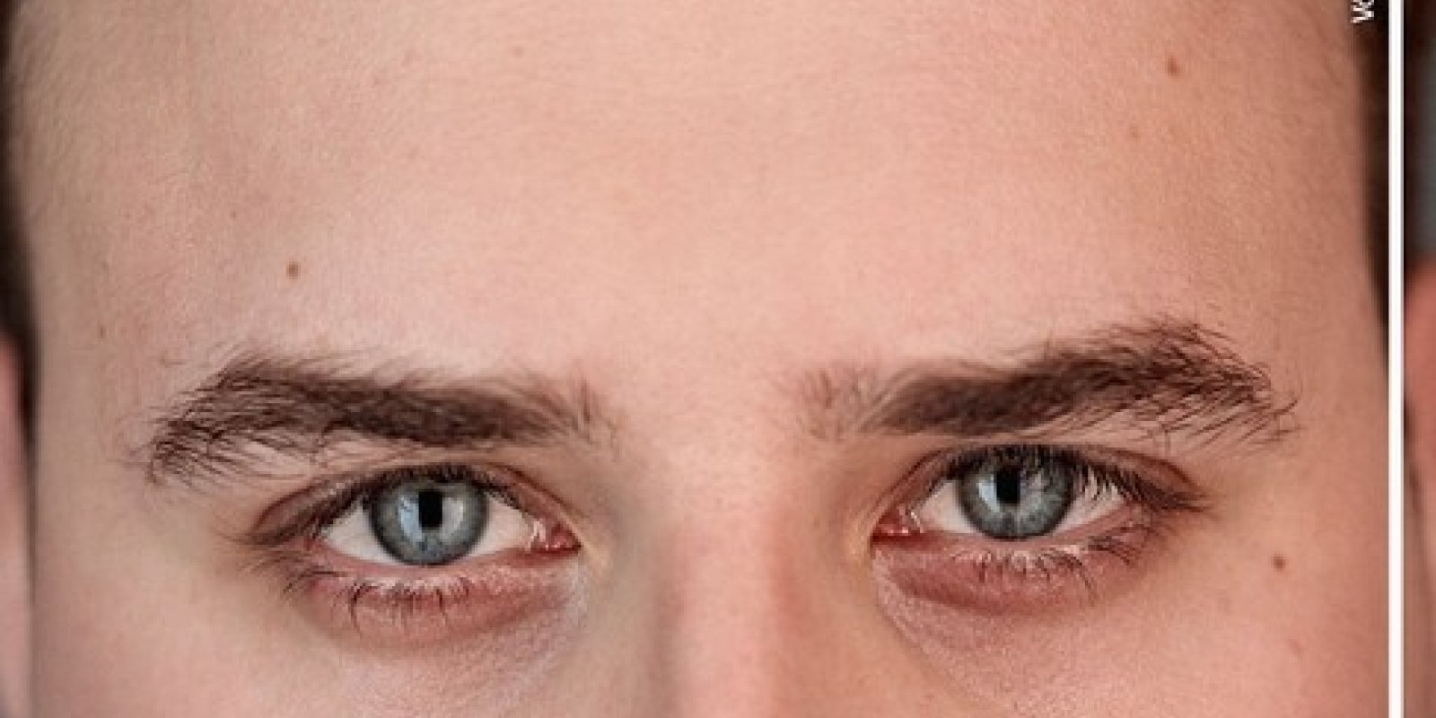 Veřejná generálka: Bílá velryba