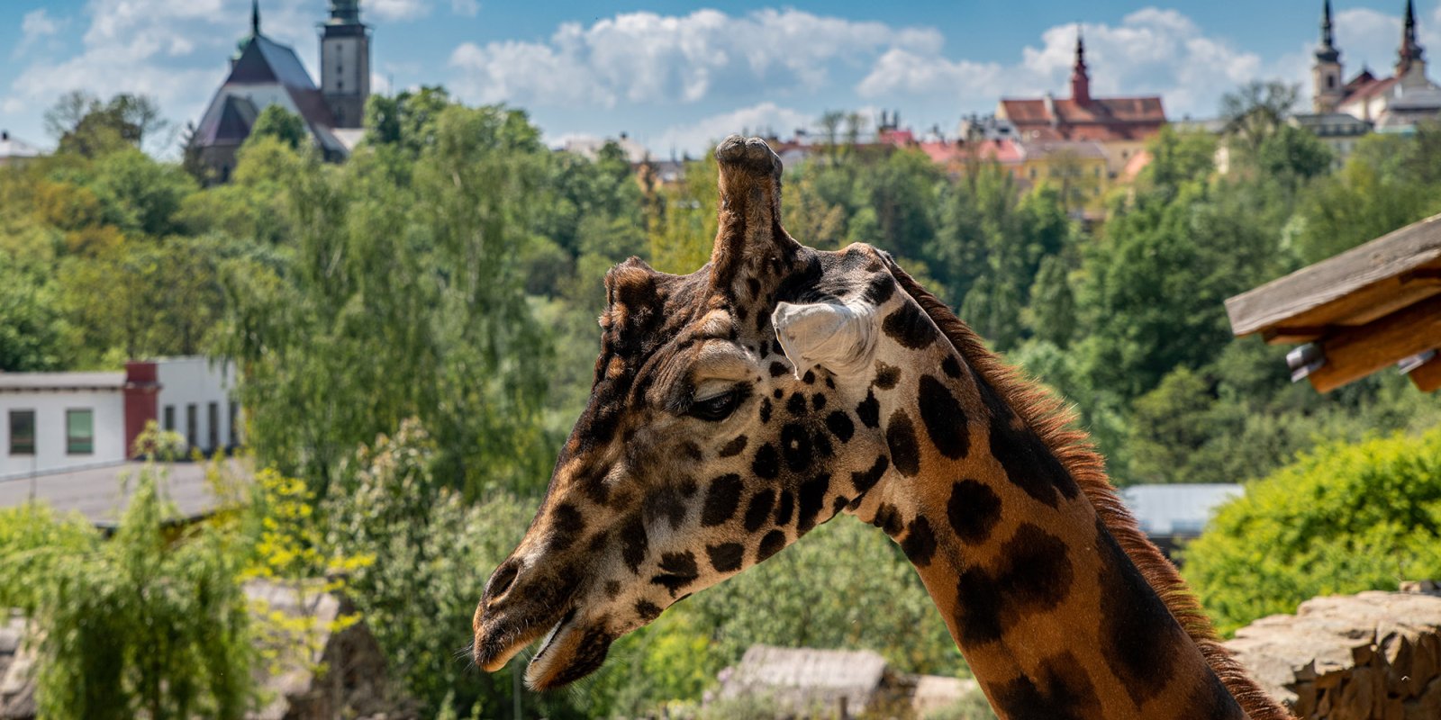 Zoo Jihlava