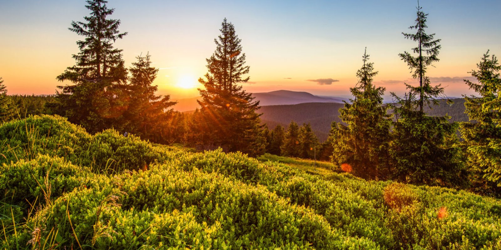 Via Czechia