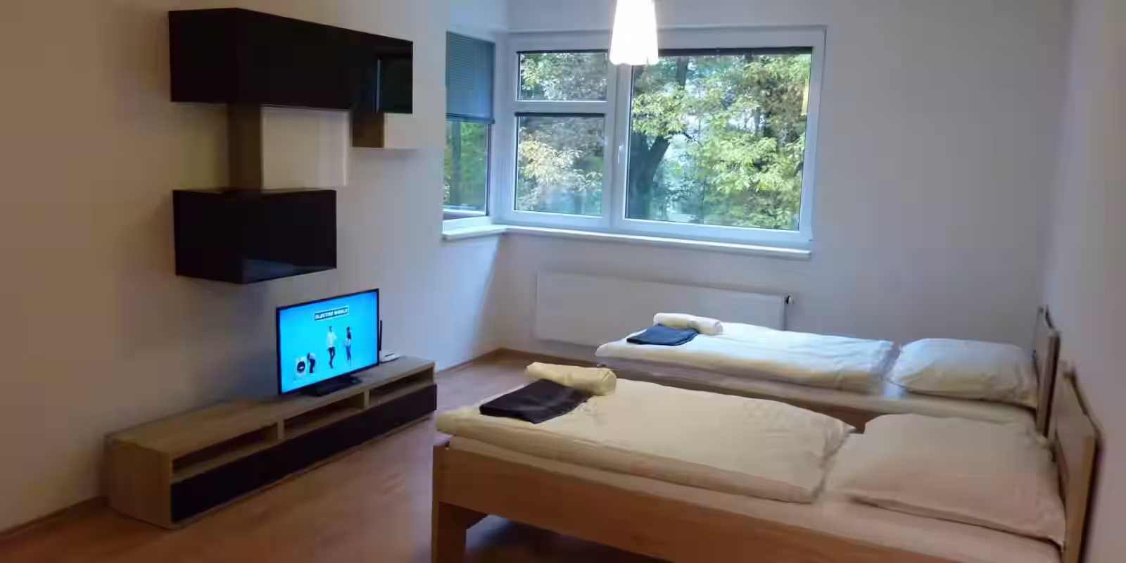 Apartmán Březinky