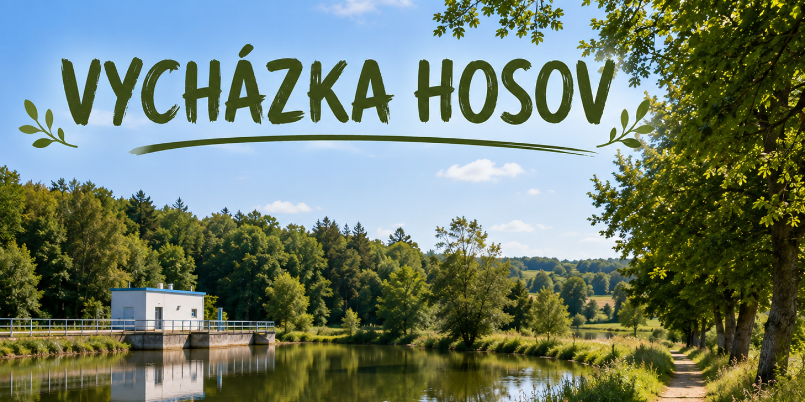 VYCHÁZKA HOSOV