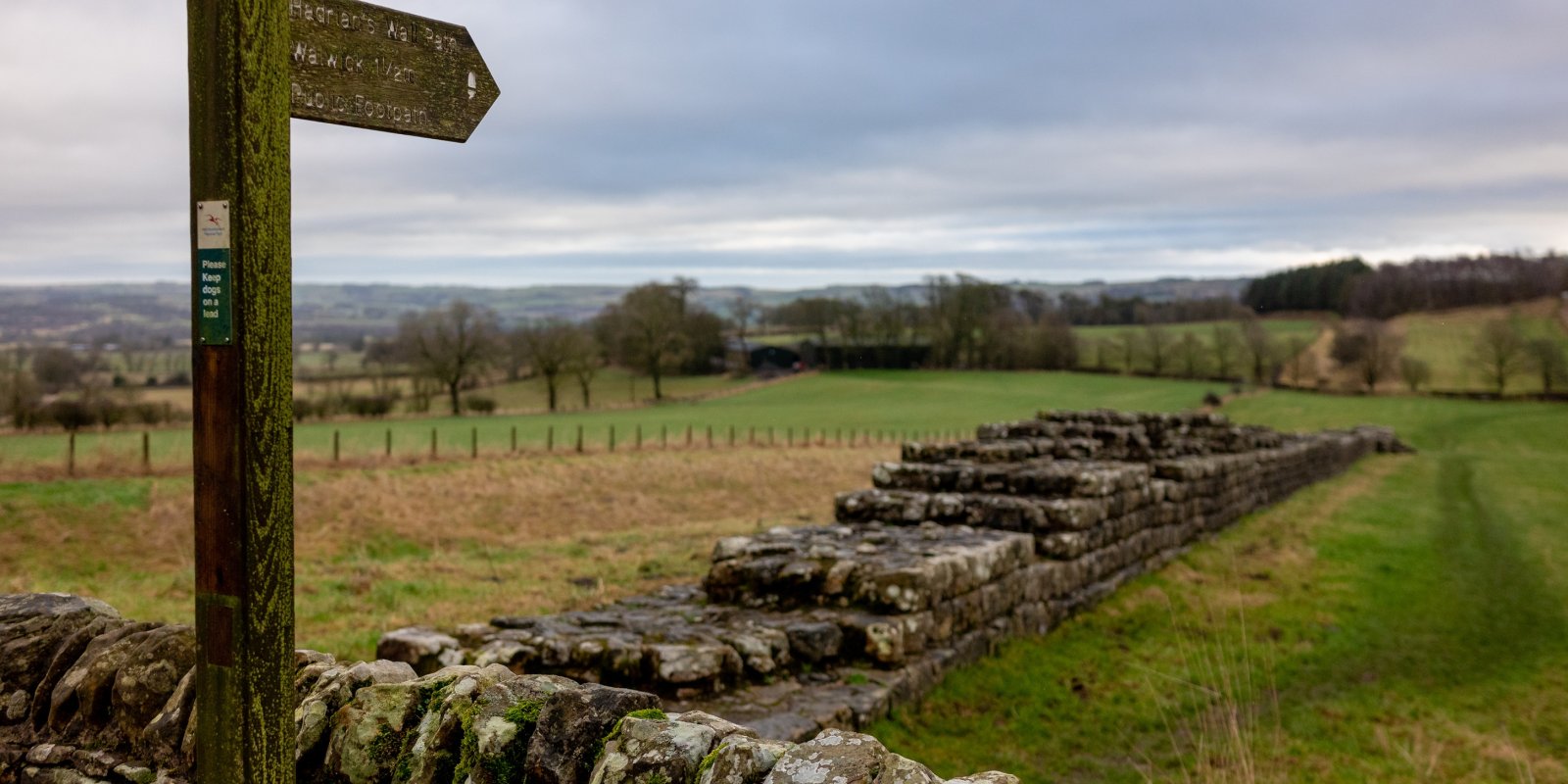 Hadrian Wall Path