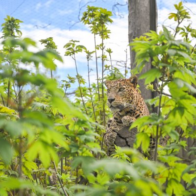 Zoo Jihlava
