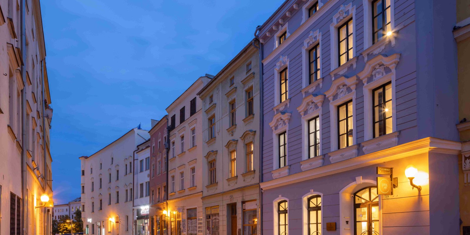 Hotel Savorsky